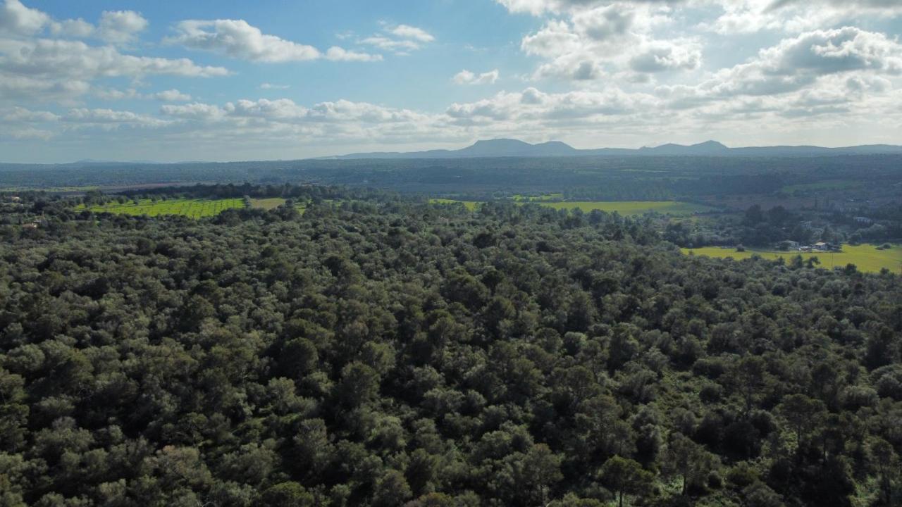 Magnifica Villa Tranquila En El Centro De Mallorca Biniali  Εξωτερικό φωτογραφία